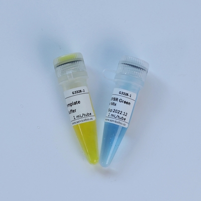 Thuốc thử sinh hóa hỗn hợp tổng thể QPCR Universal TaqMan