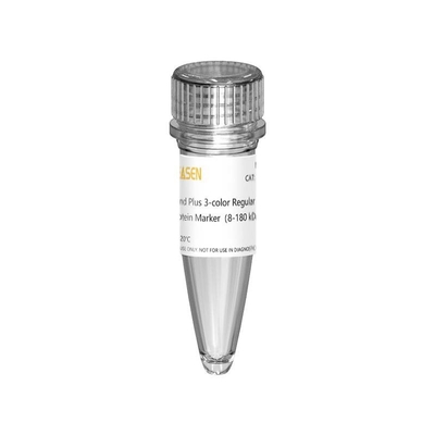 III 12-190KDa Bậc thang đánh dấu protein nguyên chất cho điện di trên gel