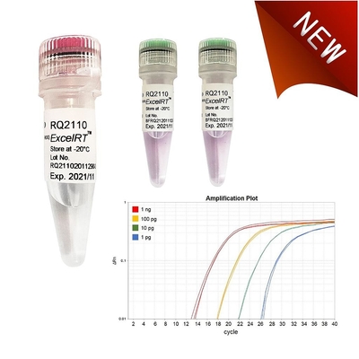 Thuốc thử sinh hóa Không Rox QPCR Trộn 1000 X 20ul Phản ứng Accuris QMax Green