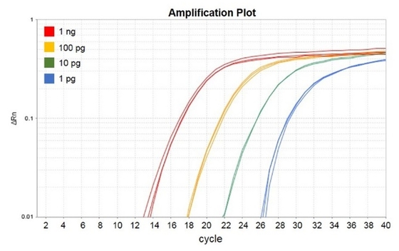 Thuốc thử sinh hóa Không Rox QPCR Trộn 1000 X 20ul Phản ứng Accuris QMax Green