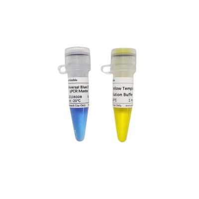 2 × Màu xanh phổ quát GSK Green QPCR Master Mix với 40 × Màu vàng bộ đệm pha loãng
