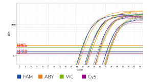 Thuốc thử sinh hóa hỗn hợp tổng thể QPCR Universal TaqMan