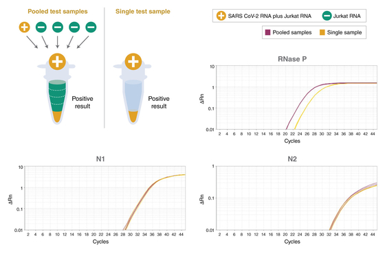 Thuốc thử sinh hóa hỗn hợp tổng thể QPCR Universal TaqMan