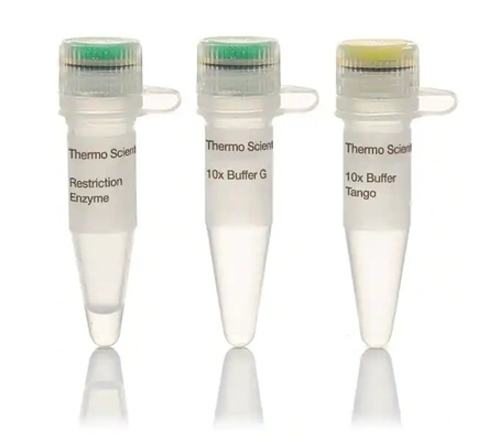 Tiêu hóa DNA nhanh chóng Thuốc thử sinh hóa 5-15Min Enzyme BsaI CE đã được phê duyệt
