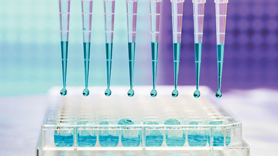 10UL 100UL Rnase Đầu pipet vô trùng miễn phí Micro Universal cho phòng thí nghiệm